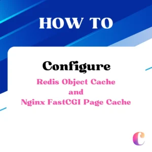 WordPress Redis Object Cache and Nginx FastCGI Page Cache configuration for enhanced performance