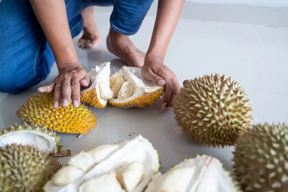 Nutrients in durian: Close-up of durian fruit showing its rich nutritional content and health benefits.