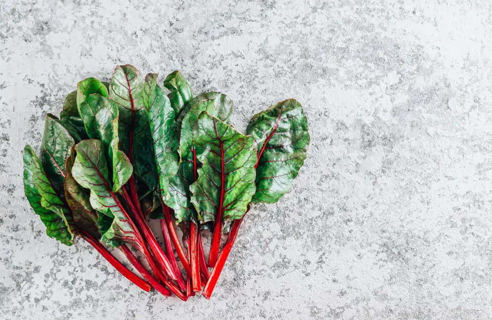 A vibrant bunch of red spinach leaves, showcasing the superfood's rich color and nutritional benefits.